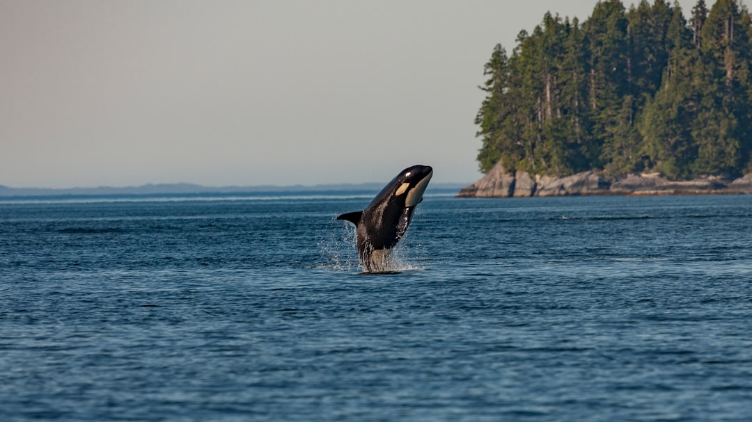 Haida Gwaii Cultural Exploration