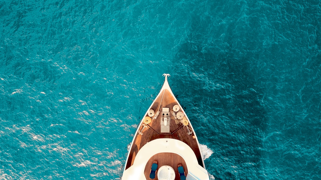 Wildlife Spotting From Your Yacht